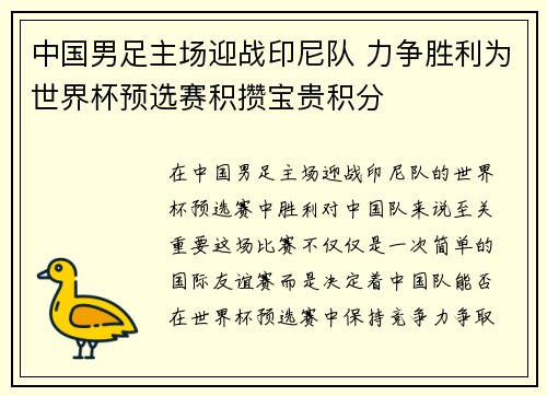 中国男足主场迎战印尼队 力争胜利为世界杯预选赛积攒宝贵积分 中国男足主场迎战印尼队 力争胜利为世界杯预选赛积攒宝贵积分
